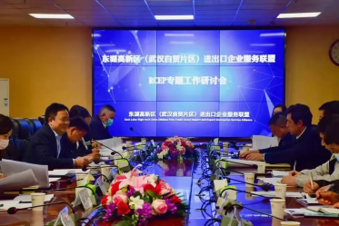 楚天同创参加东湖高新区进出口企业服务联盟RCEP专题工作研讨会并作与会发言