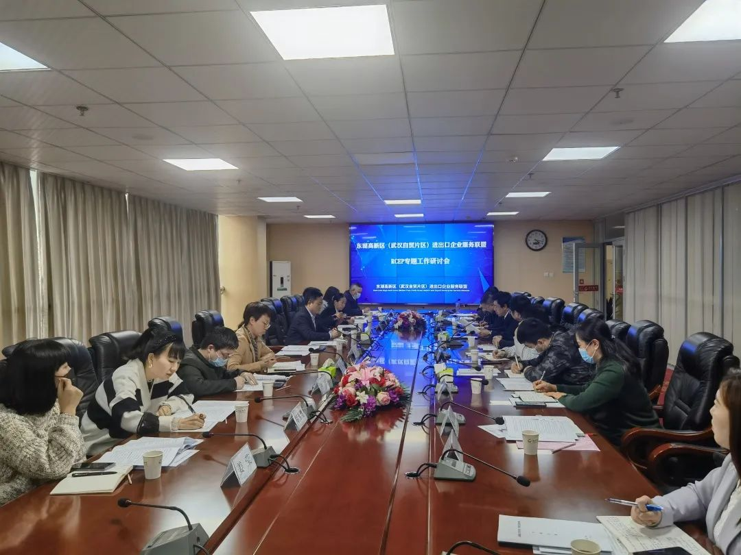楚天同创参加东湖高新区进出口企业服务联盟RCEP专题工作研讨会并作与会发言